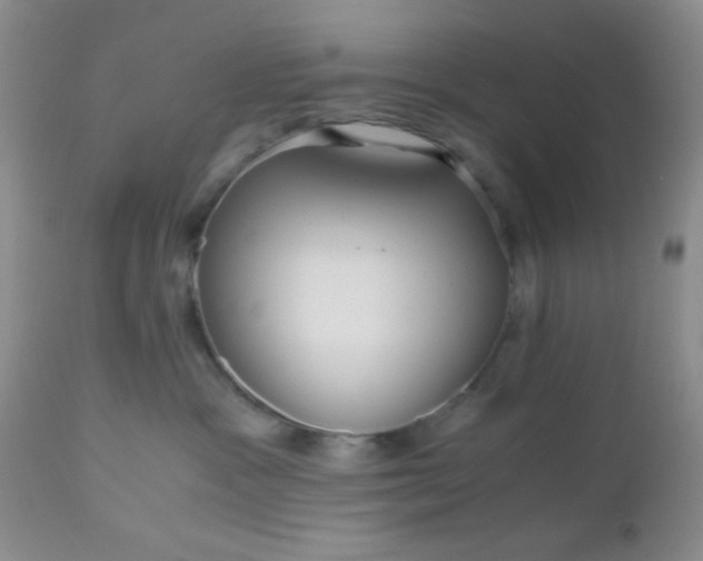 X0000110950333200907022203