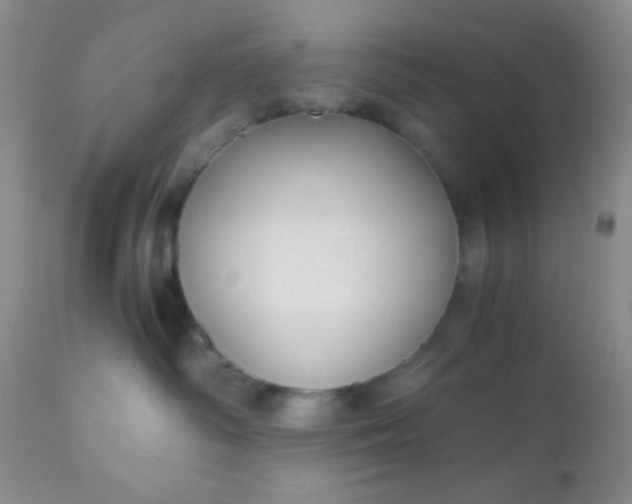 X0000110950334200907022203