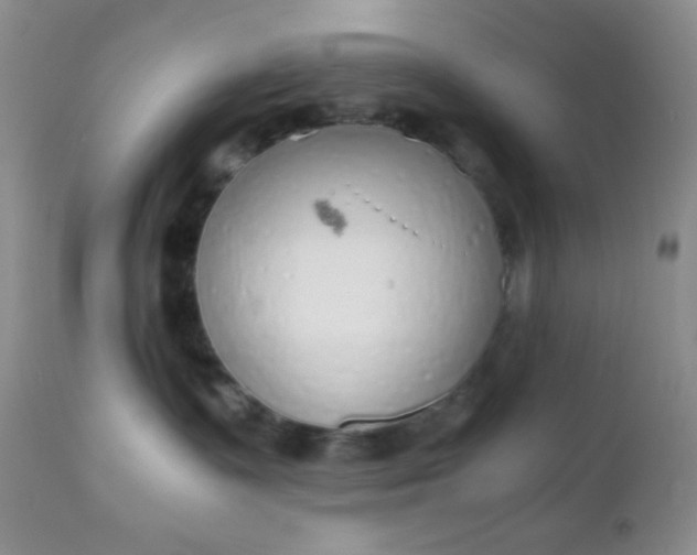 X0000110950335200907022203