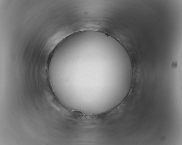 X0000110950338200907022202