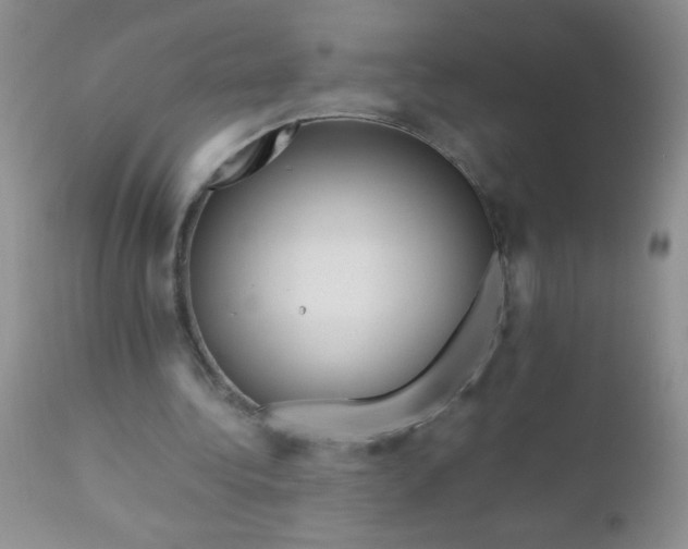 X0000110950340200907022202