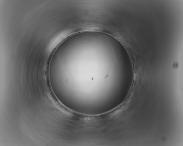 X0000110950341200907022202