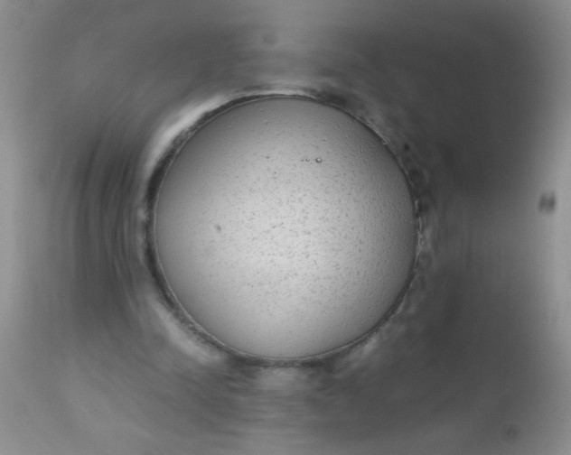 X0000110950342200907022202