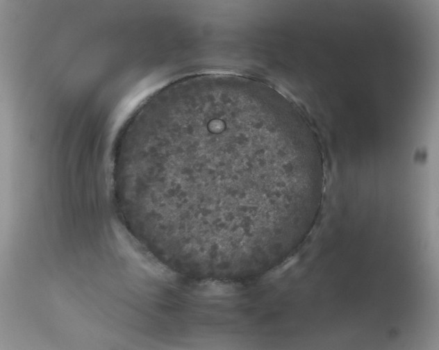 X0000110950343200907022202