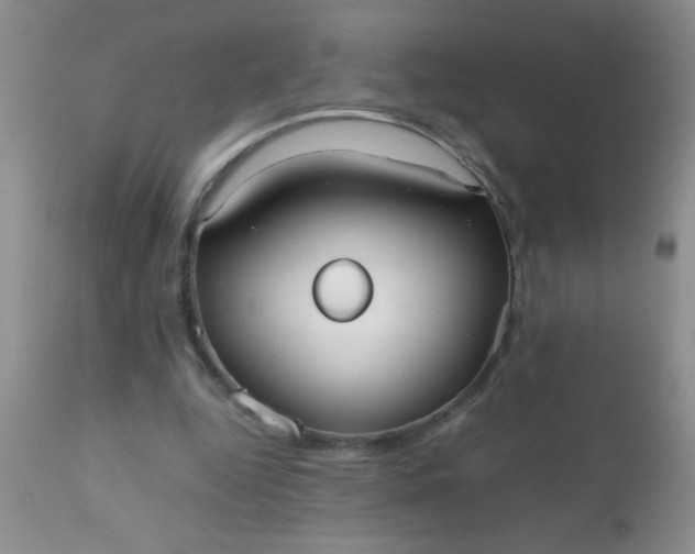 X0000110950344200907022202