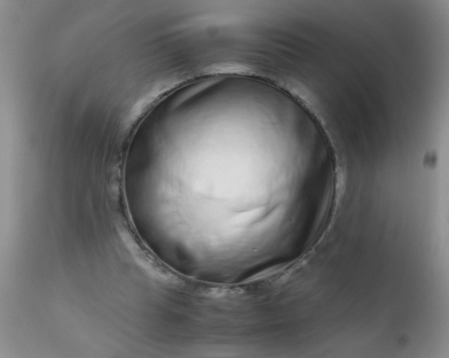 X0000110950345200907022202