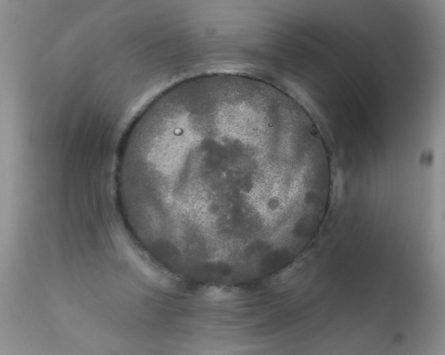 X0000110950346200907022202