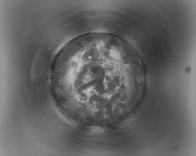 X0000110950347200907022202