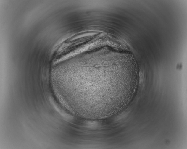 X0000110950349200907022202