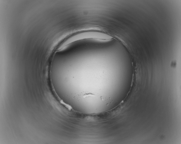 X0000110950350200907022202