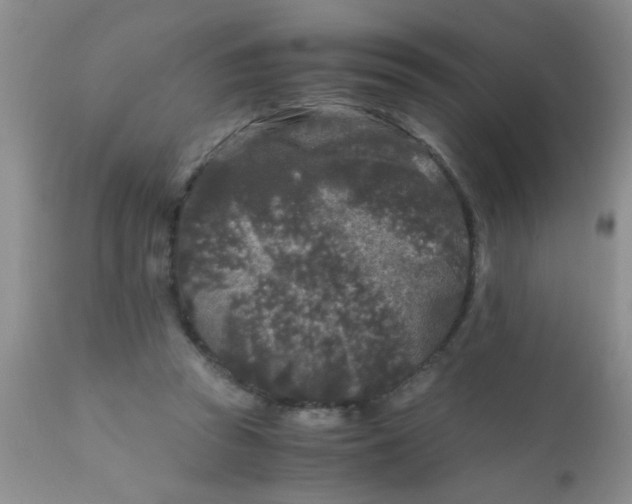 X0000110950353200907022202