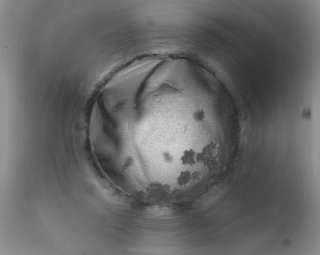 X0000110950354200907022202