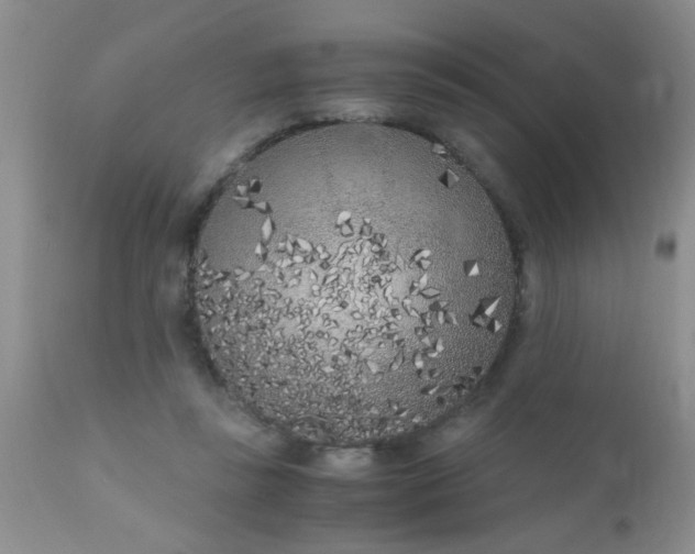 X0000110950355200907022202