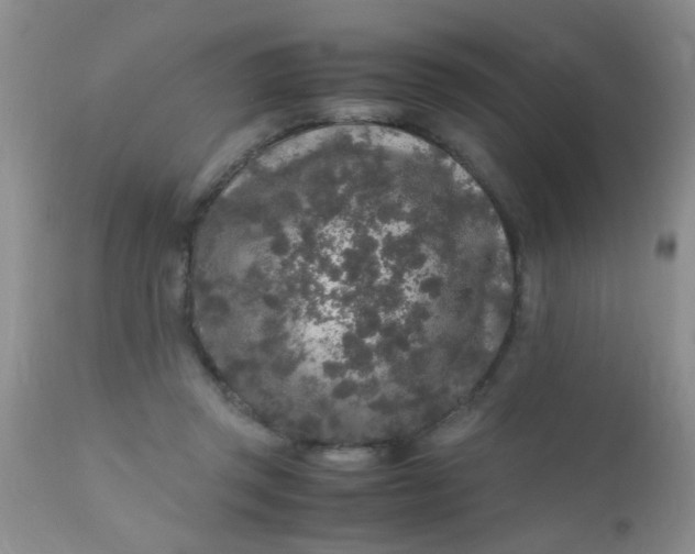 X0000110950357200907022202