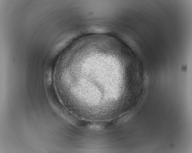 X0000110950358200907022202