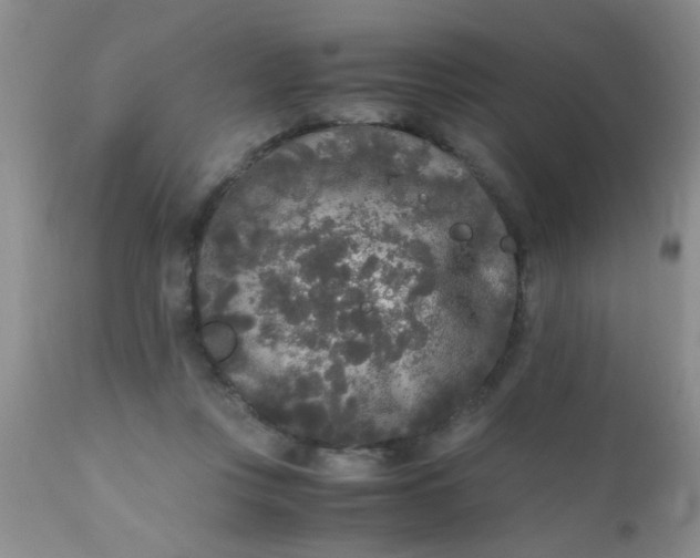 X0000110950359200907022202