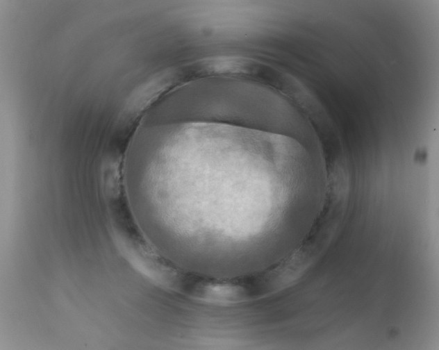 X0000110950360200907022202