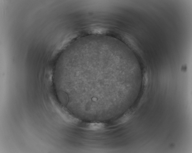 X0000110950363200907022202