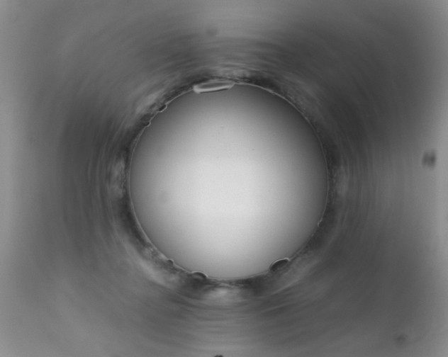 X0000110950364200907022202