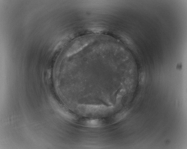 X0000110950365200907022202