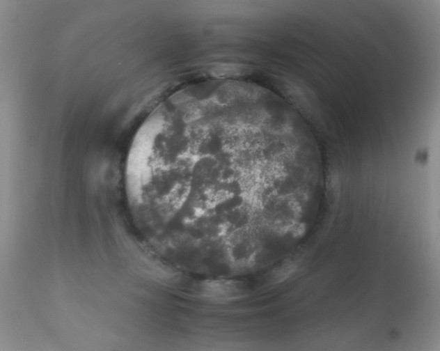 X0000110950367200907022203