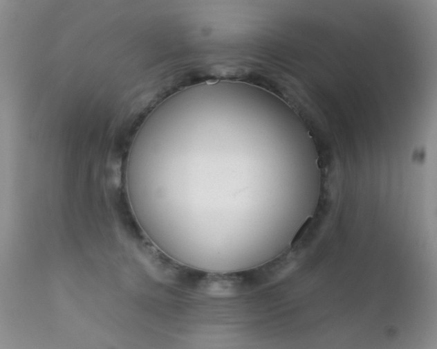 X0000110950368200907022203