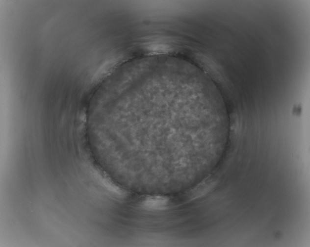 X0000110950369200907022203