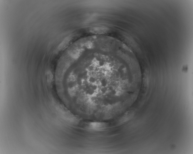 X0000110950371200907022203