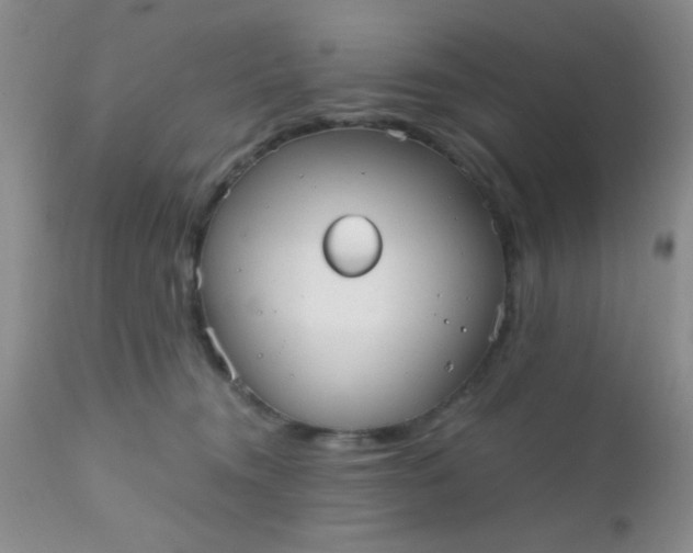 X0000110950372200907022203