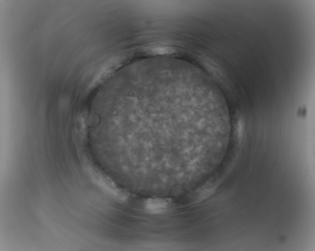 X0000110950373200907022203