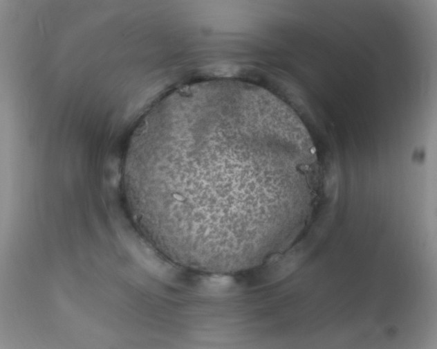 X0000110950374200907022203