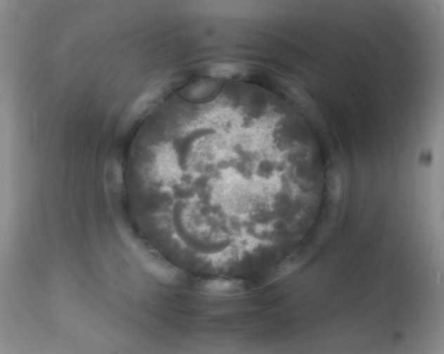 X0000110950375200907022203