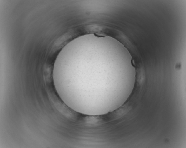 X0000110950378200907022203