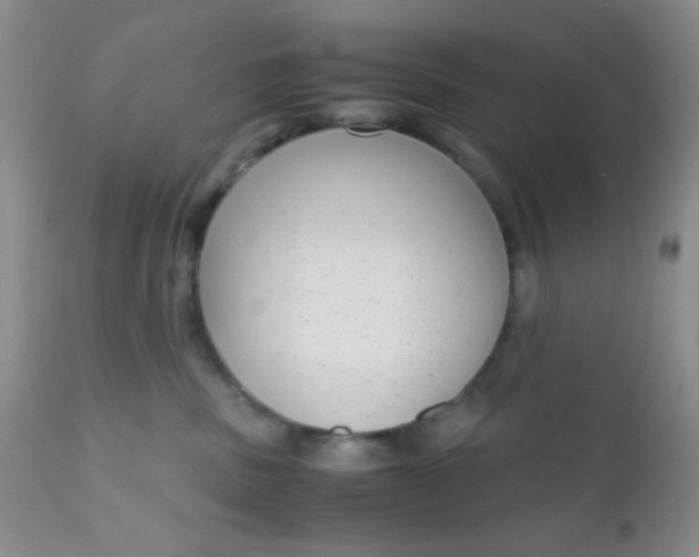 X0000110950379200907022203