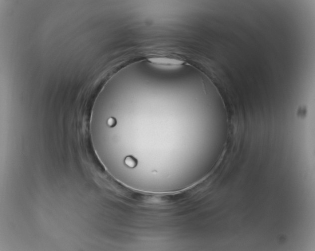 X0000110950380200907022203