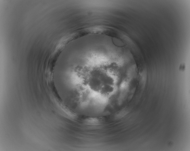 X0000110950381200907022203