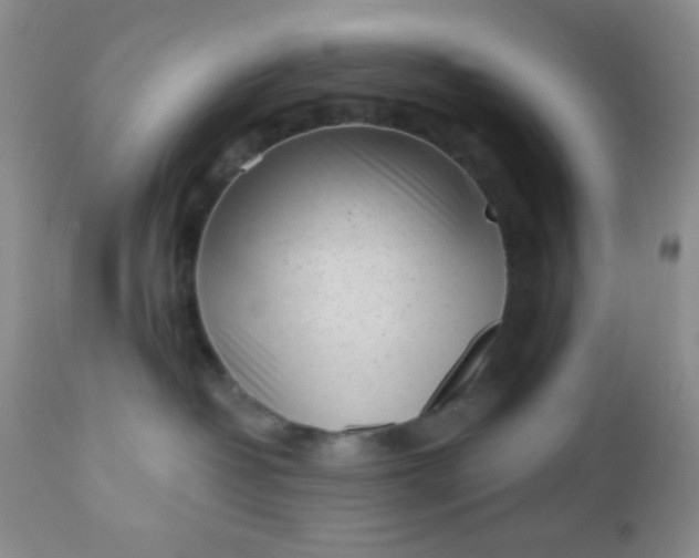 X0000110950382200907022203