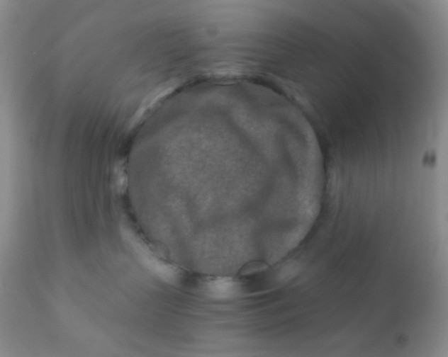 X0000110950383200907022203