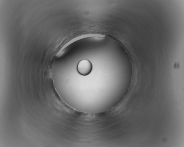 X0000110950384200907022203