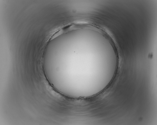 X0000110950385200907022202