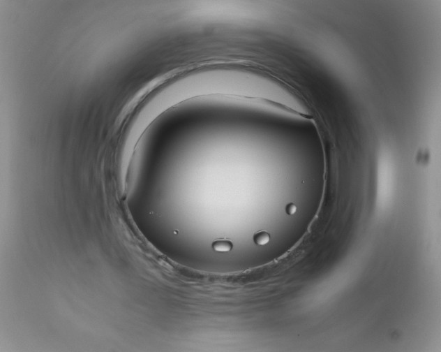 X0000110950387200907022202