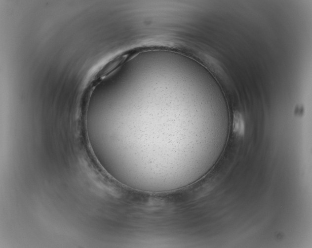 X0000110950388200907022202