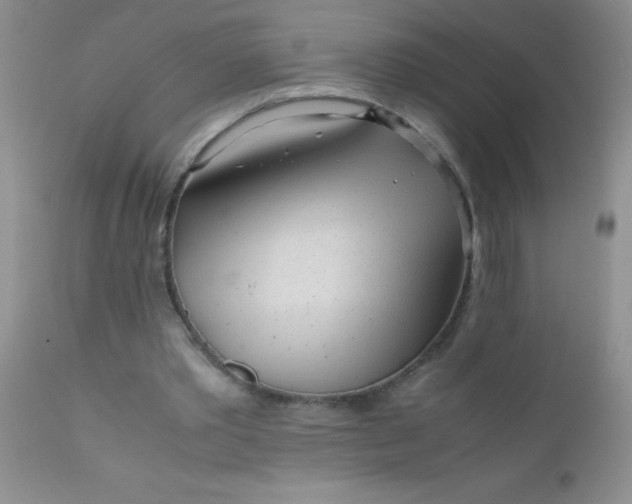 X0000110950389200907022202