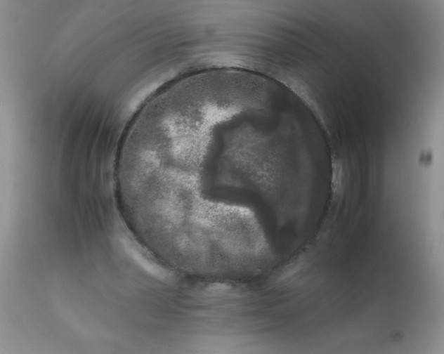 X0000110950390200907022202