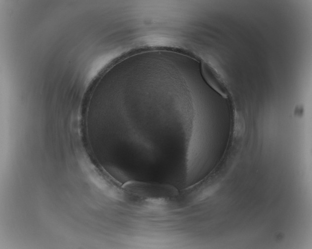 X0000110950391200907022202