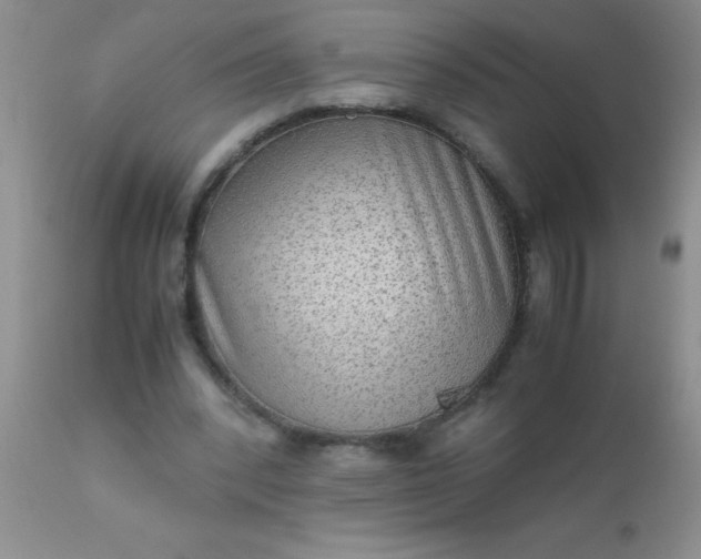 X0000110950392200907022202