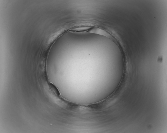 X0000110950393200907022202