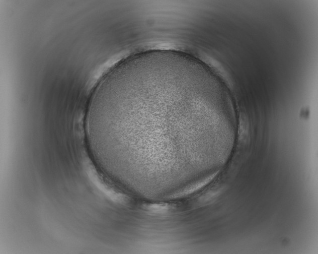 X0000110950394200907022202