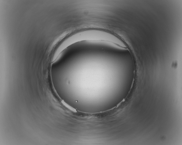 X0000110950395200907022202