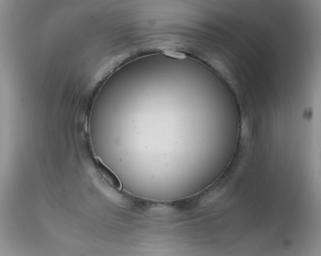 X0000110950397200907022202